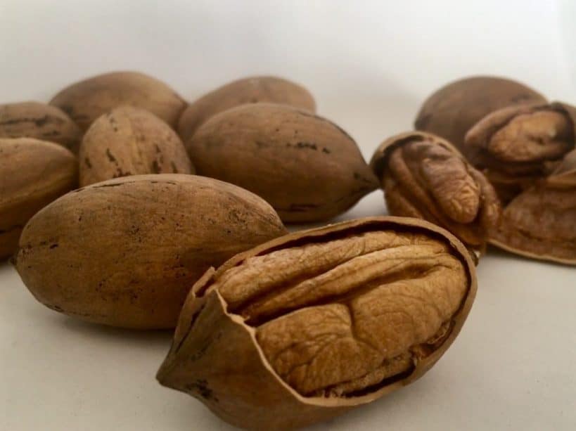Where does a pikan walnut grow? What is the difference from walnuts?