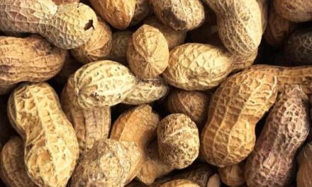 What are the benefits of peanuts? Peanut butter recipe