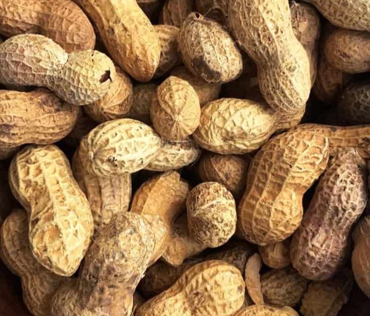 What are the benefits of peanuts? Peanut butter recipe