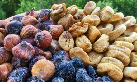 What is Bandırma Process? How to make fig Bandırma?