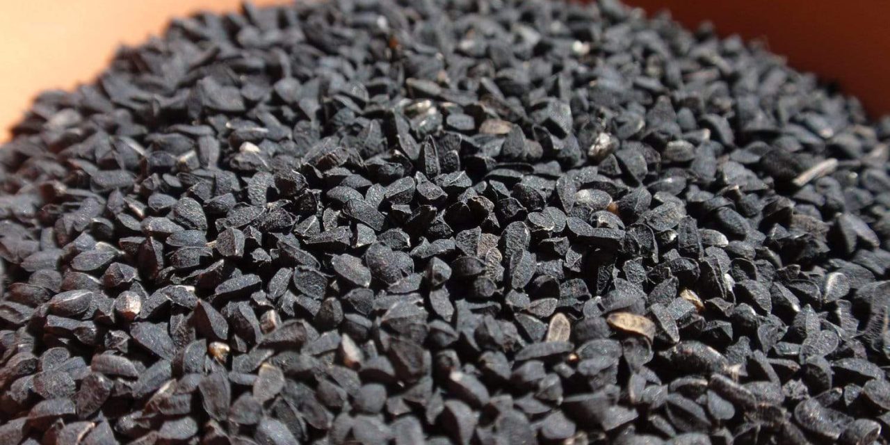 Is it possible to slimming with black seed?