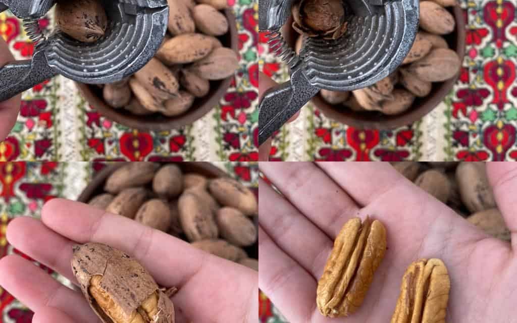 How to break a pikan walnut? How to sort out?