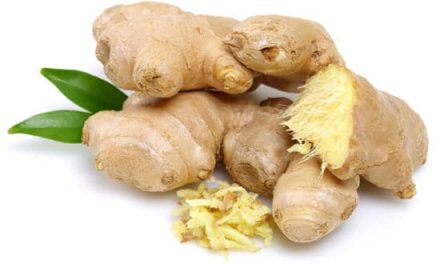 What is Gingerol? The strongest known antioxidant!