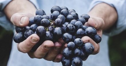What are the benefits of Şiraz Essence? What is Şiraz Grape extract?