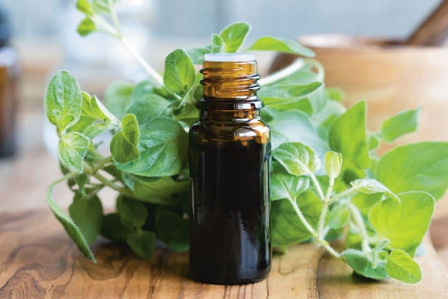 How to use thyme oil for colds and colds?