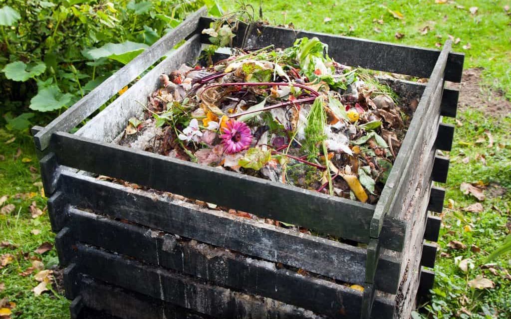 What is compost? How to compost at home?
