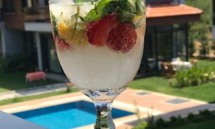 Non -alcoholic Mojito Recipe: For Hot Summer Days!