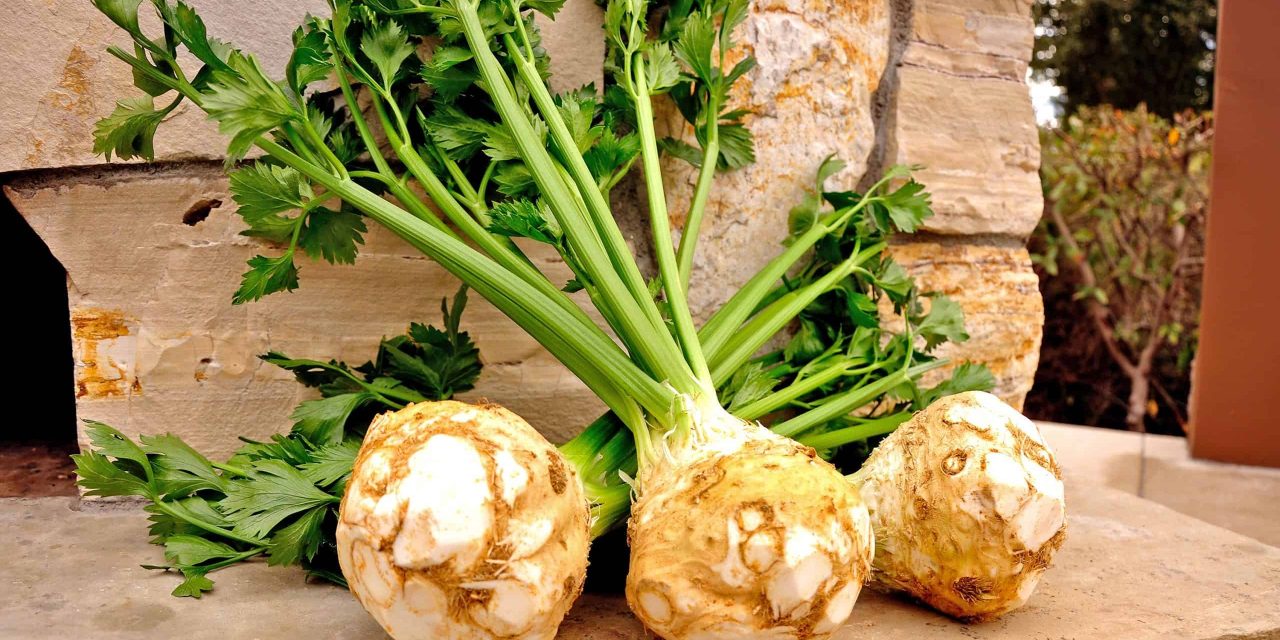 Celery powder alternative to salt! What does it do?