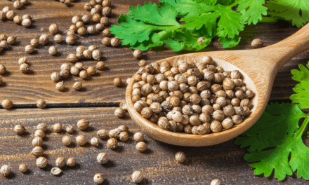 Slimming with coriander seeds! How to use coriander?