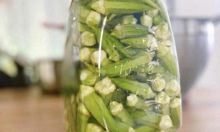 Probiotic Okra Pickle Recipe: Forty, without lemon