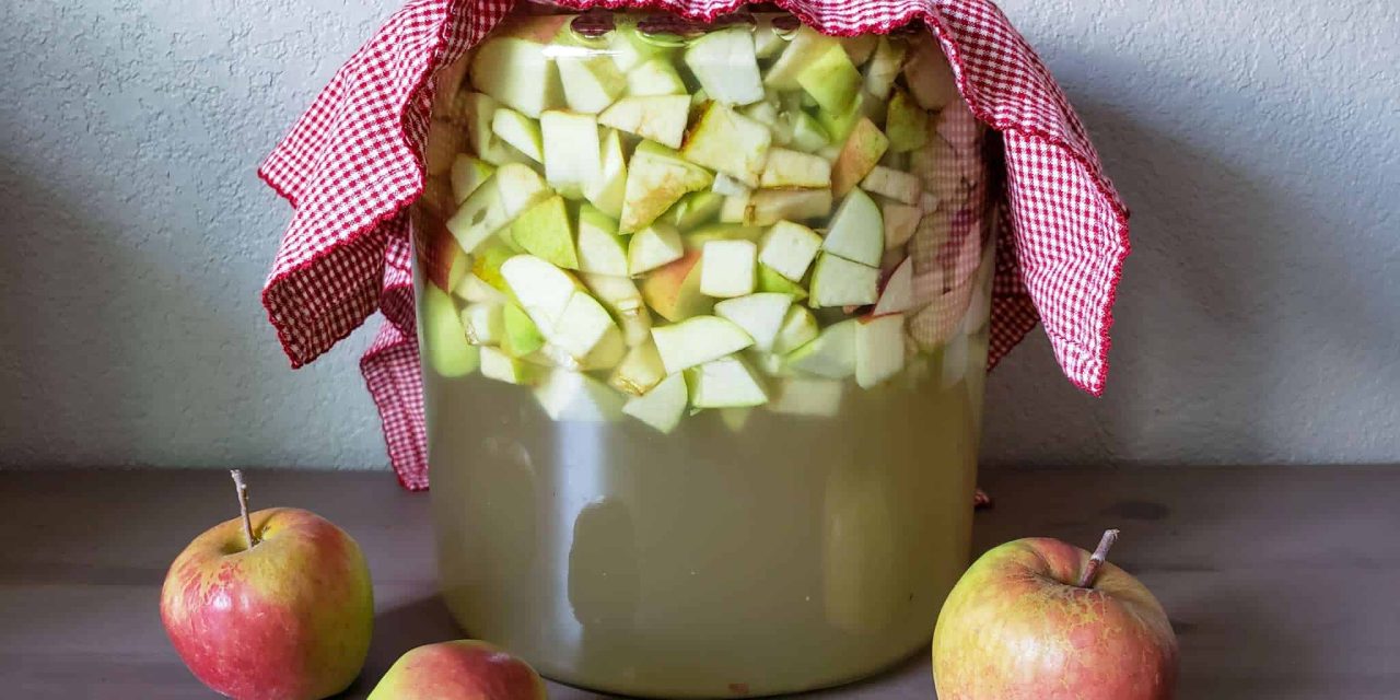 Homemade Apple Cider Vinegar Recipe: Vinegar Making Tips