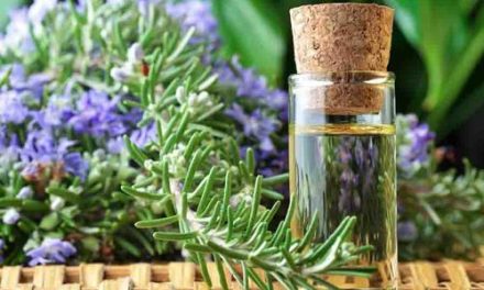 How to make rosemary oil? How is it applied to the skin?
