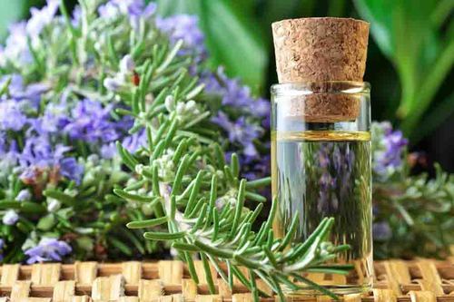 How to make rosemary oil? How is it applied to the skin?