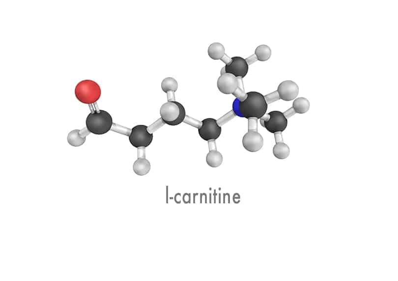 When to drink carnitine? Does l-carnit weaken?