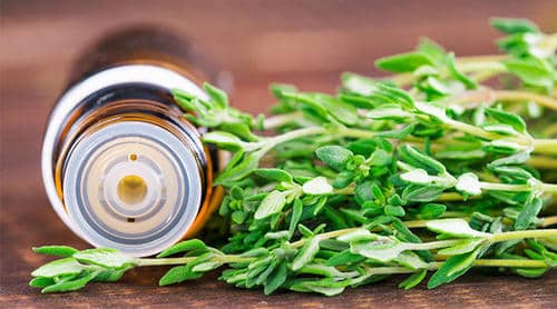 Is oregano oil good for sore throat? How to use?