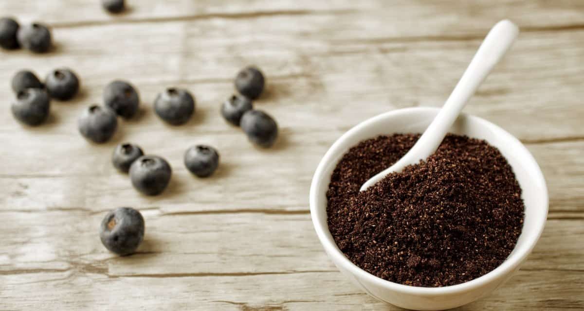 What is Maqui Berry? What are the benefits?