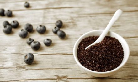 What is Maqui Berry? What are the benefits?