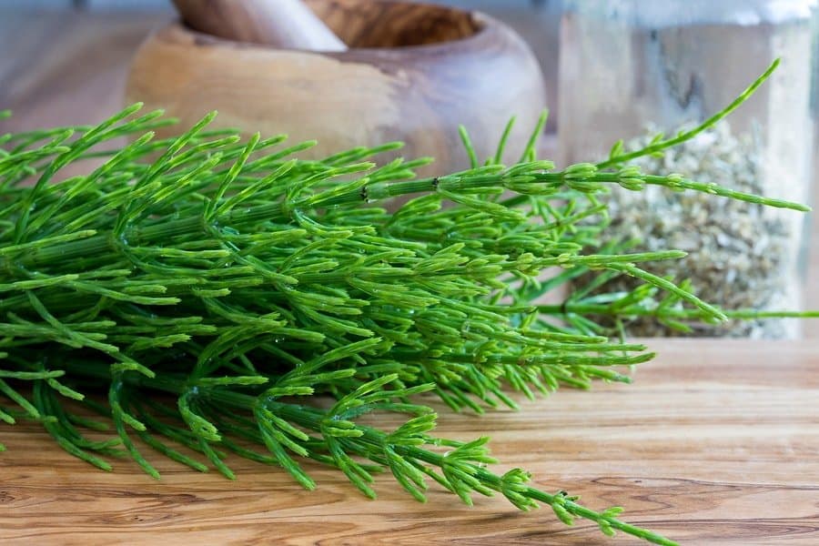 What are the benefits of Equisetum Arvense? Does it remove hair?