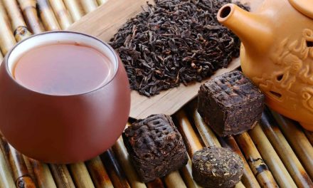 Is it possible to lose weight with PU-ERH tea?