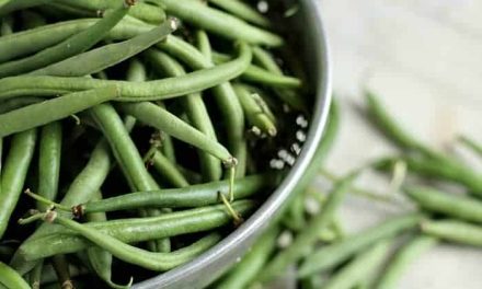 How to store fresh beans in the freezer?