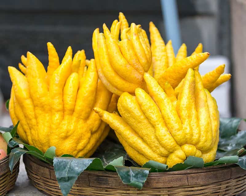 What is Buddha’s hand fruit? How to Eat?