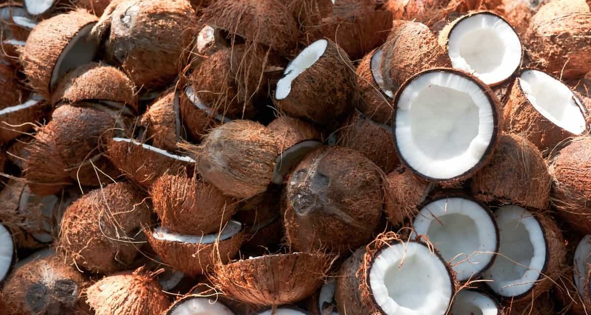 What are the symptoms of coconut allergy?