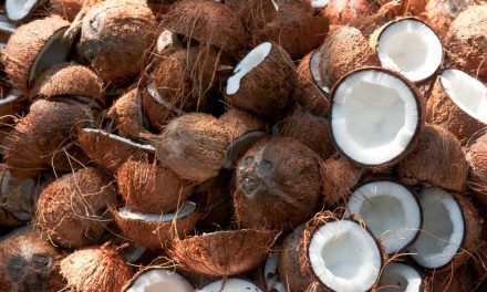 What are the symptoms of coconut allergy?