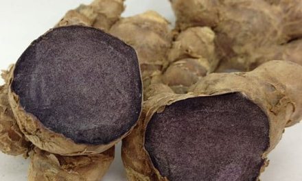 What are the benefits of black ginger syrup?