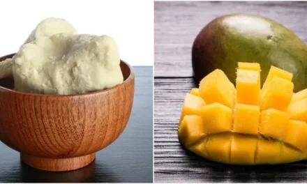 How to Mango Oil? Benefits to Skin