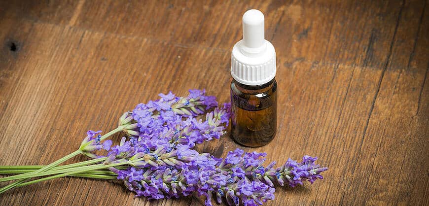 What is tincture? How to make lavender tincture?