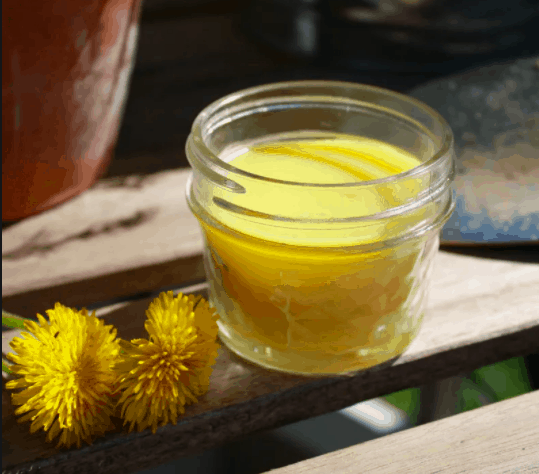 Dandelion Ointment Recipe: What are the benefits of skin?