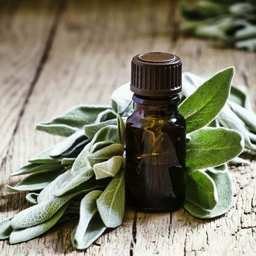 Is sage oil applied to the face? Is it good for gas?