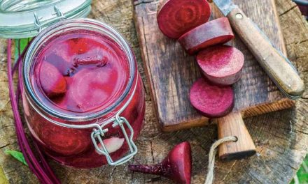 What are the benefits of red beets? When to plan?