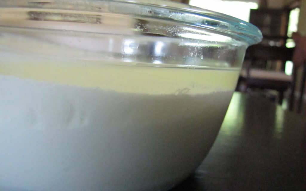 How to cure yogurt juice? Is it given to babies?