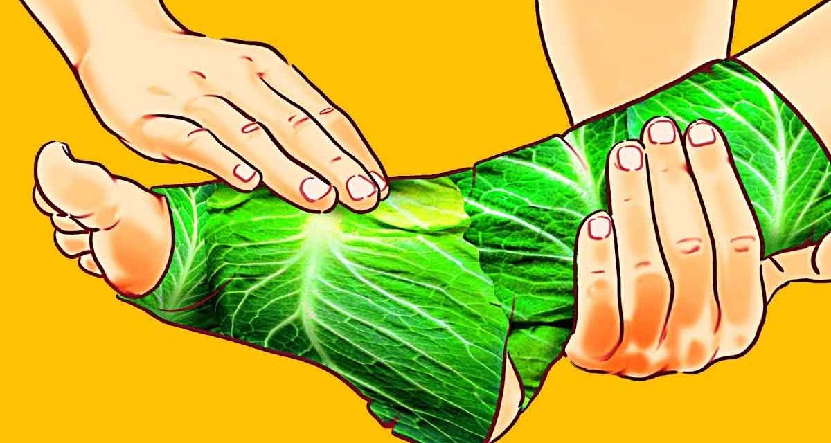 Wrap the string cabbage & wrap cabbage to feet benefits