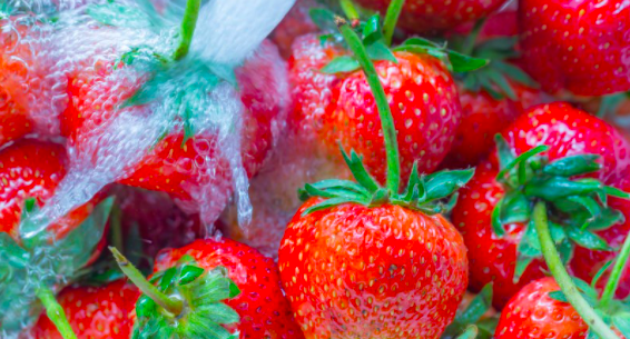 How to hide washed strawberries? Strawberry storage in the freezer