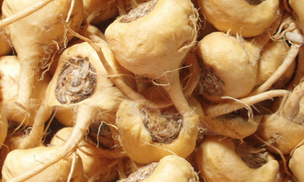 How to use maca root? What are the benefits?