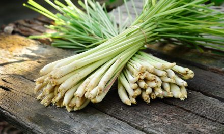How to use Lemongrass? What are the benefits?