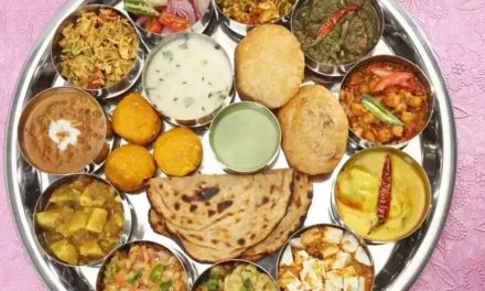 Thali Indian Dinner: Indian cuisine flavors