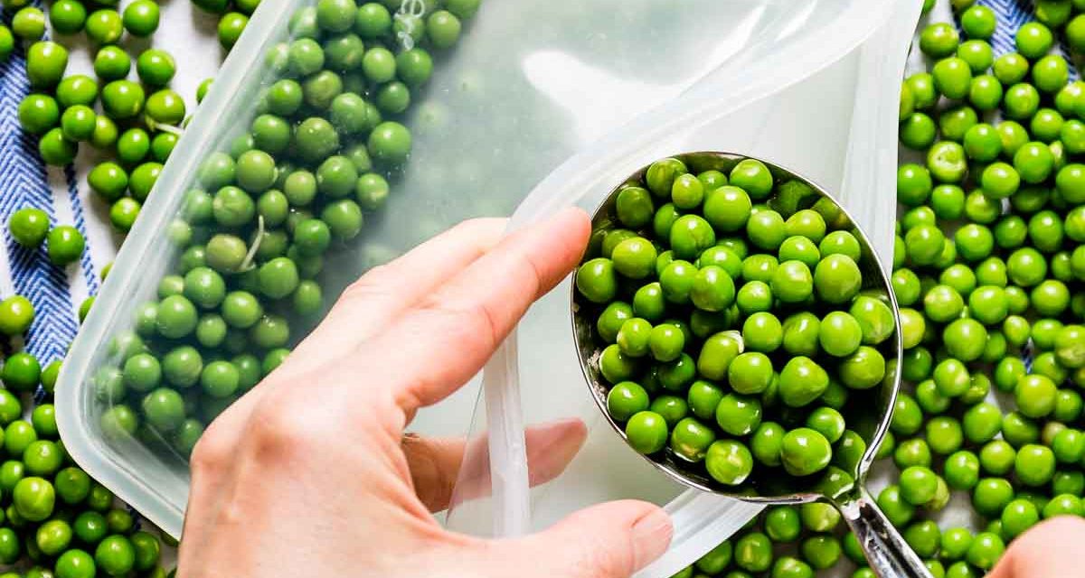 When is the pea thrown into the freezer?