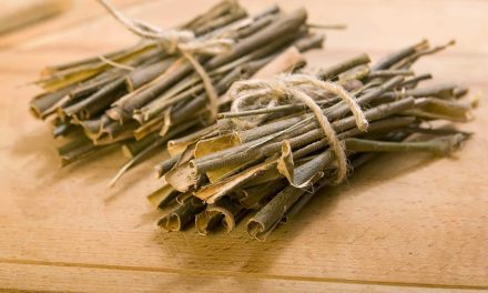 How to use white willow peel? What are the benefits?