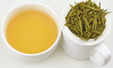 Yellow Tea What is Huang Cha? What are the benefits?
