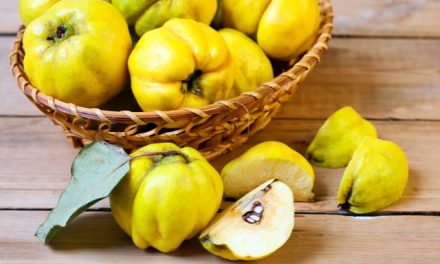 When is quince given to babies?