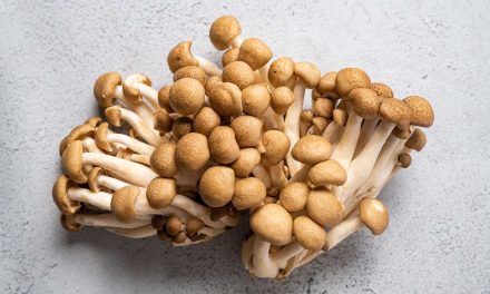 How to cook beech mushrooms?