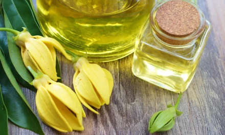 How to use ylang ylang oil for hair?