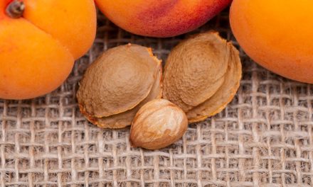What is amygdalin? Are amygdalin and laetrile the same?