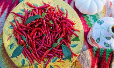 What is capsaicin? Capsaisin cancer relationship