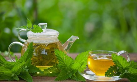 What are the benefits of cat mint tea?