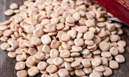 How to consume bitter bean? What are the benefits?