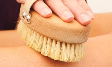 Horse Hair Brush How to Use? How to Clean?